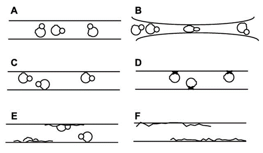 Good & bad sample outcomes