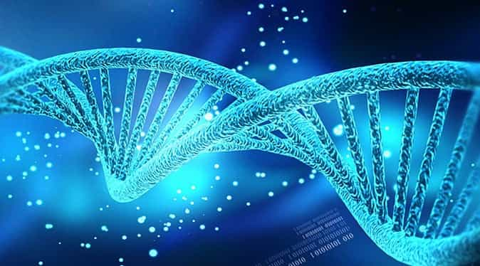 Image-of-DNA-strand