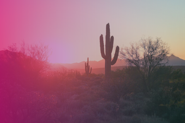 Phoenix, arizona event