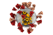 Sai-Li-Tsinghua-SARS-Cov2-Map-figure