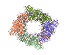 rafa-leiro-beta-gal-model-ultraufoil-1
