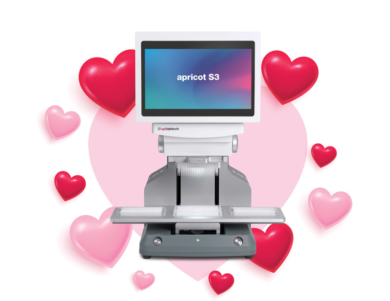 apricot_hearts