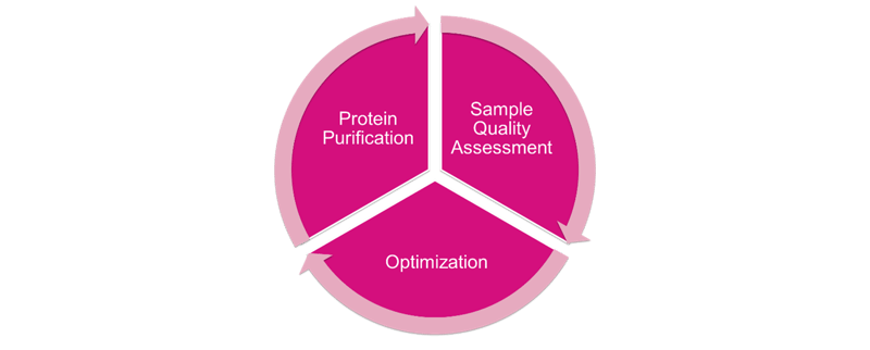 cryo-EM cycle