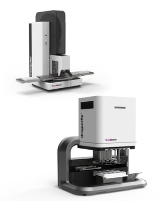 dfd + mosquito - Light