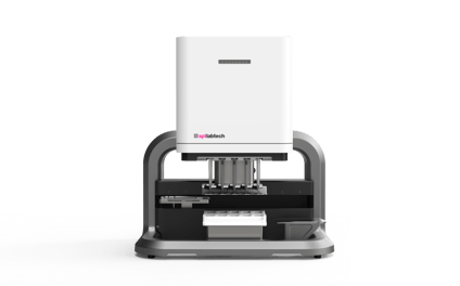 dragonfly_front perspective_no background V1