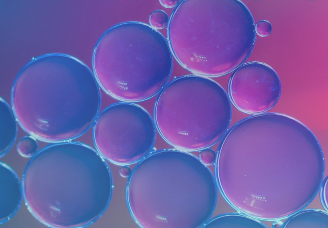3D Cell Culture Organoid