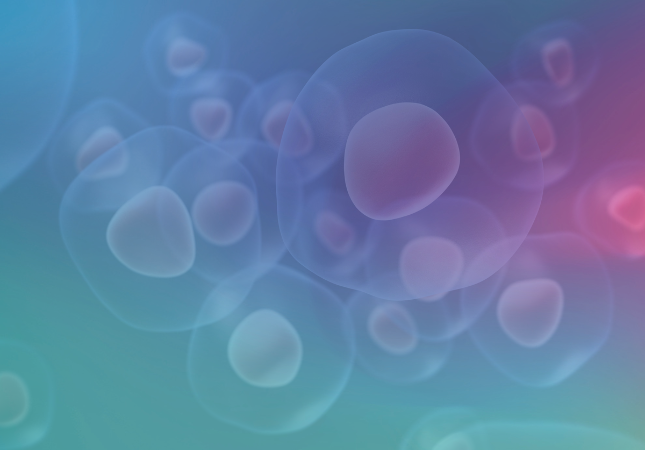 3D Cell Culture new