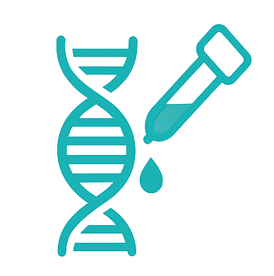 Adapter Ligation & Cleanup