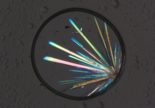 Crystallisation Image 3