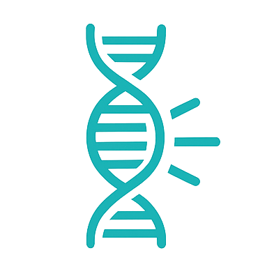 Fragmentation & End-Repair
