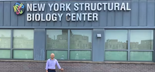 New York Structural Biology Center edit