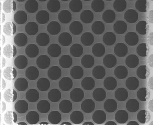 QUANTIFOIL-circular