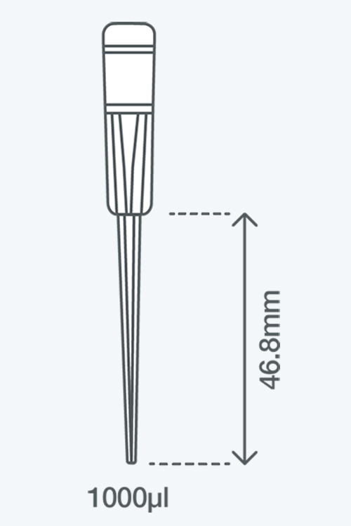 ez-load-icon-6@1.25x