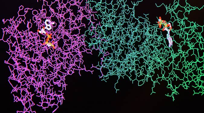 image-of-structure-of-protein