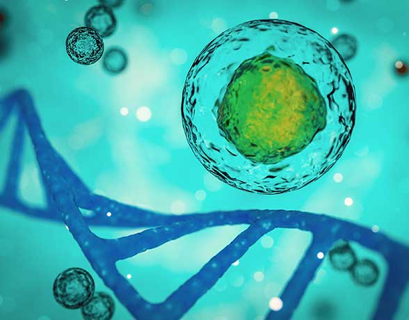 single_cell_Library_prep