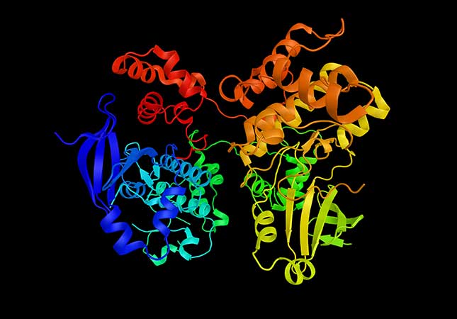 Protein_Structure-CTA