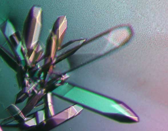 Micro-seeding--Close-up-of-crystal